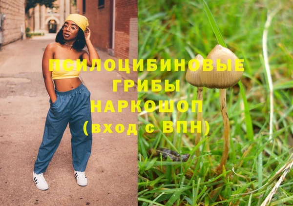 спайс Кулебаки