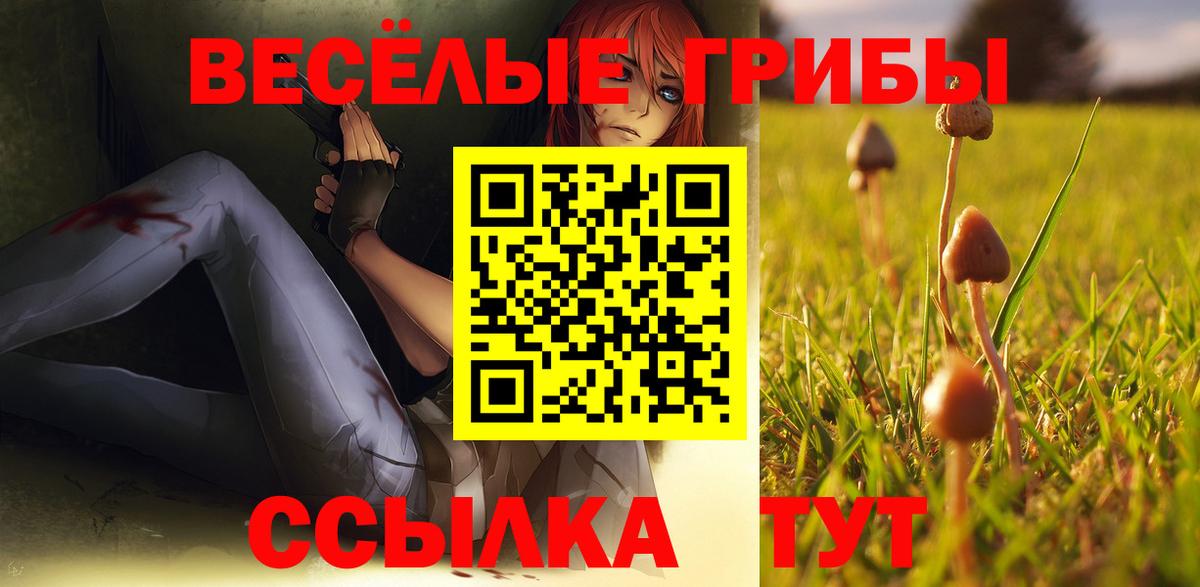 что такое   Надым  Галлюциногенные грибы Cubensis  Псилоцибиновые грибы MAGIC MUSHROOMS 