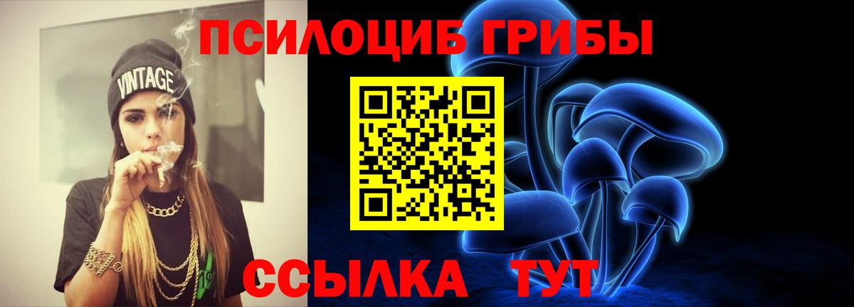 Псилоцибиновые грибы Psilocybine cubensis Надым
